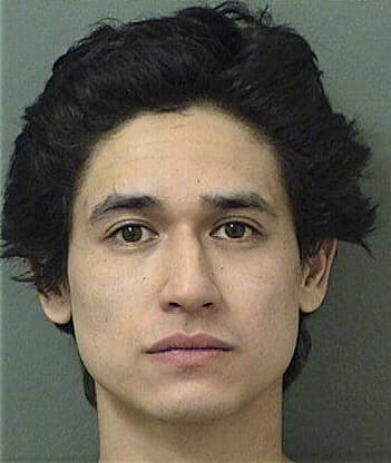 Hernandez Pascualgaspar, - Palm Beach County, FL 